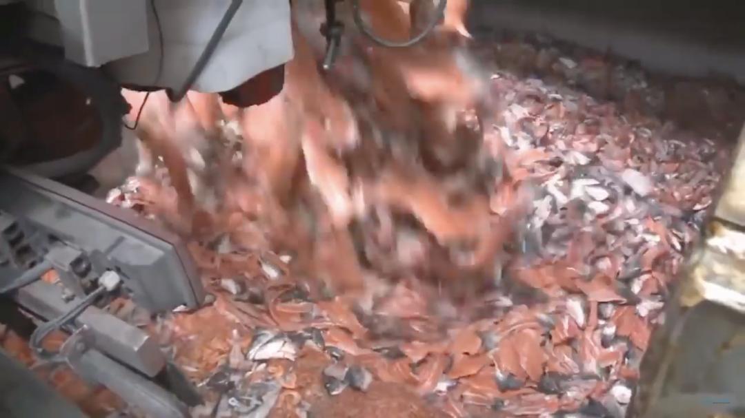 “最毒僵尸鱼”,外媒曝挪威三文鱼养殖乱象,看完胃不好了