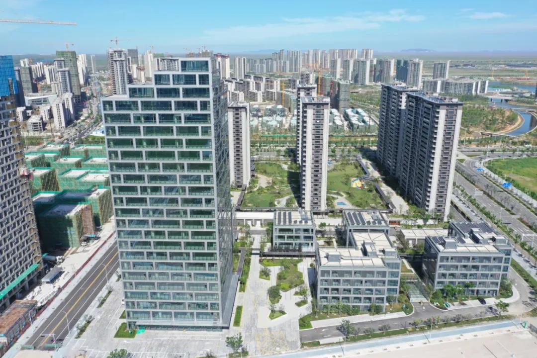 杭州湾新区发展,杭州湾新区发展如何