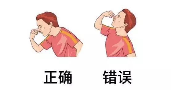 流鼻血仰头的意义,出鼻血仰头对不对