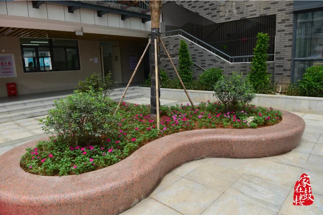 鼓楼第一中心小学开学仪式,鼓楼新学校