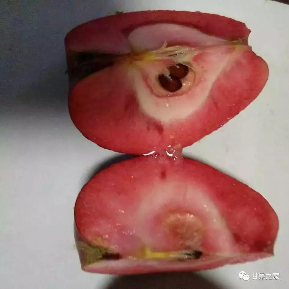 最常见的苹果5个品种,各种类型苹果