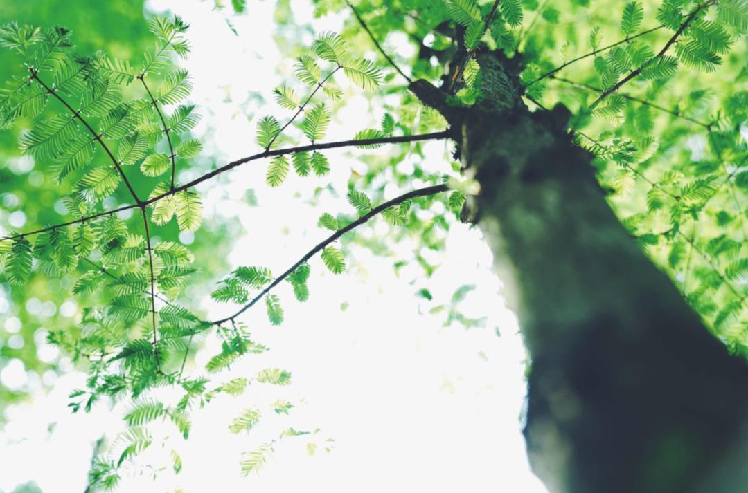 表达夏天热的诗句,古诗中描写天气很热的诗句