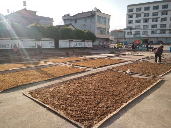 大叔年薪365万,男子做烧饼年薪35万