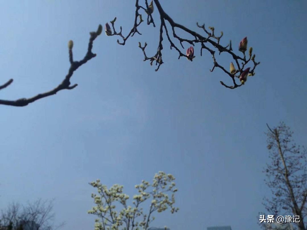 鏁呬埂鑺卞紑姝屾洸,鏁呬埂鑺卞紑姝屾洸鍘熷敱瀹屾暣