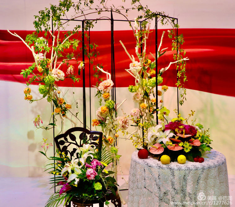 看洛阳牡丹花卉节,洛阳古都牡丹花展