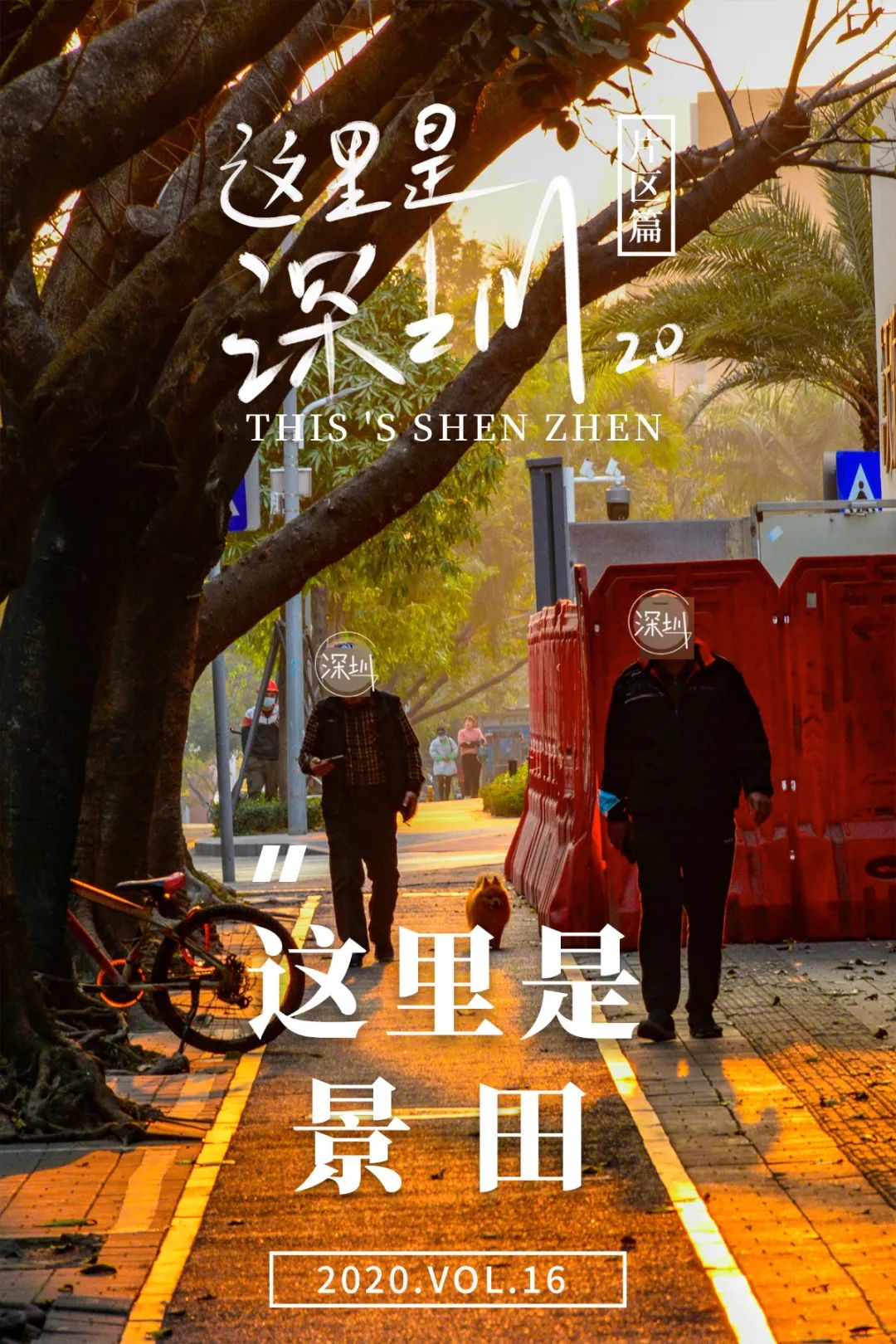 景甜有多大,景田是什么档次