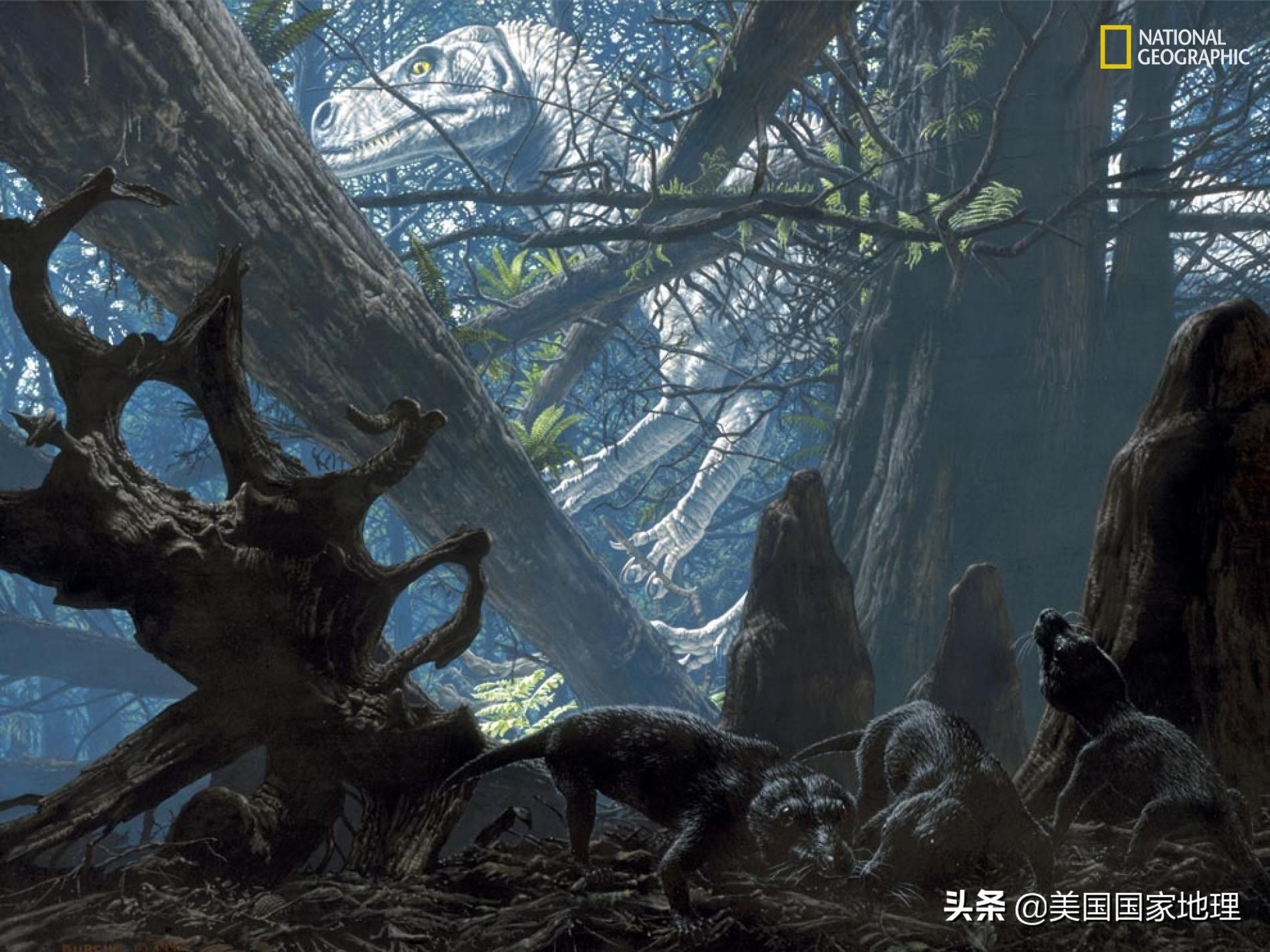 为什么两岁多的小孩得癌症,为什么小孩也得癌症