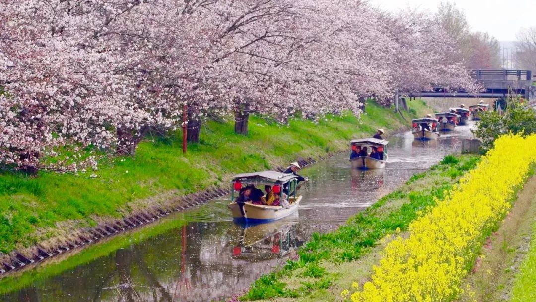 【行乐47】凭什么，它能是日本人的生命之湖？