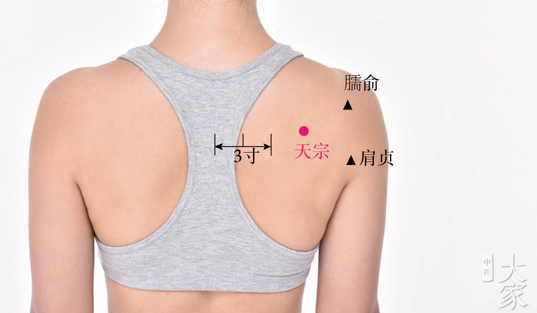 苓桂术甘汤加小柴胡汤的功效,小柴胡汤和葛根治疗颈椎病