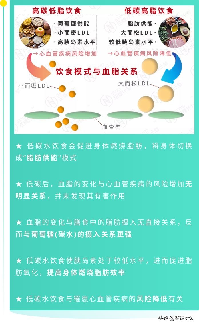 糖类和血脂的区别,糖类吃多了会引起血脂粘稠吗