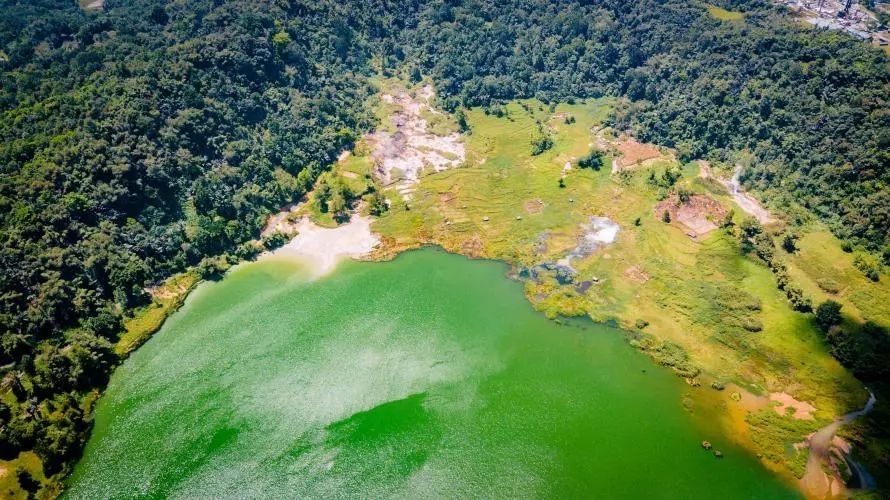 美娜多出海的图片,美娜多成为潜水天堂的原因