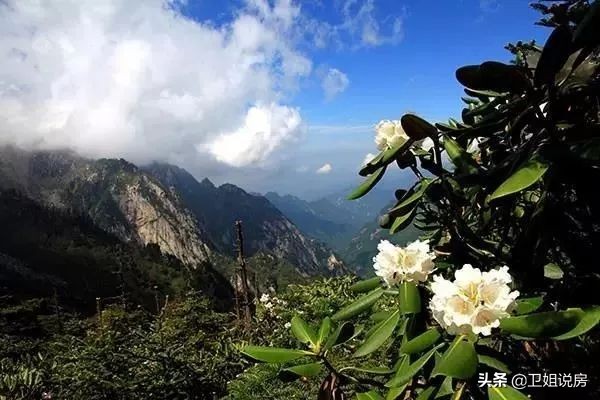 观察|均价8500+，西安半小时经济圈内鄠邑区凭什么房价这么高？