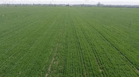 寻甸网红打卡地点,寻甸金所潘所网红打卡的地方