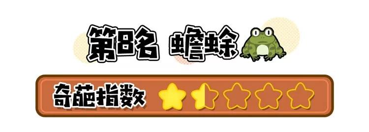 用洋葱加什么可以减肥,用洋葱减肥方法