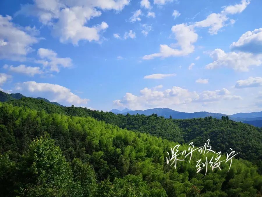 绥宁被联合国誉为神奇绿洲,绥宁神奇的绿洲的由来