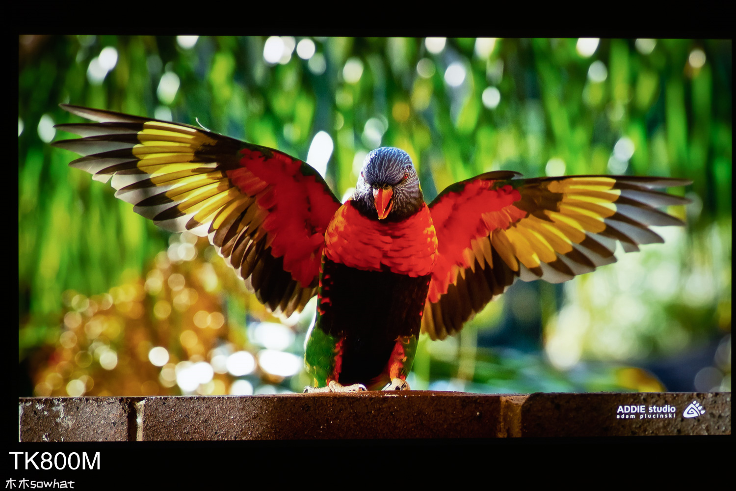 爱普生ch-tw7000对比明基tk800m,明基tk800m4k投射150寸