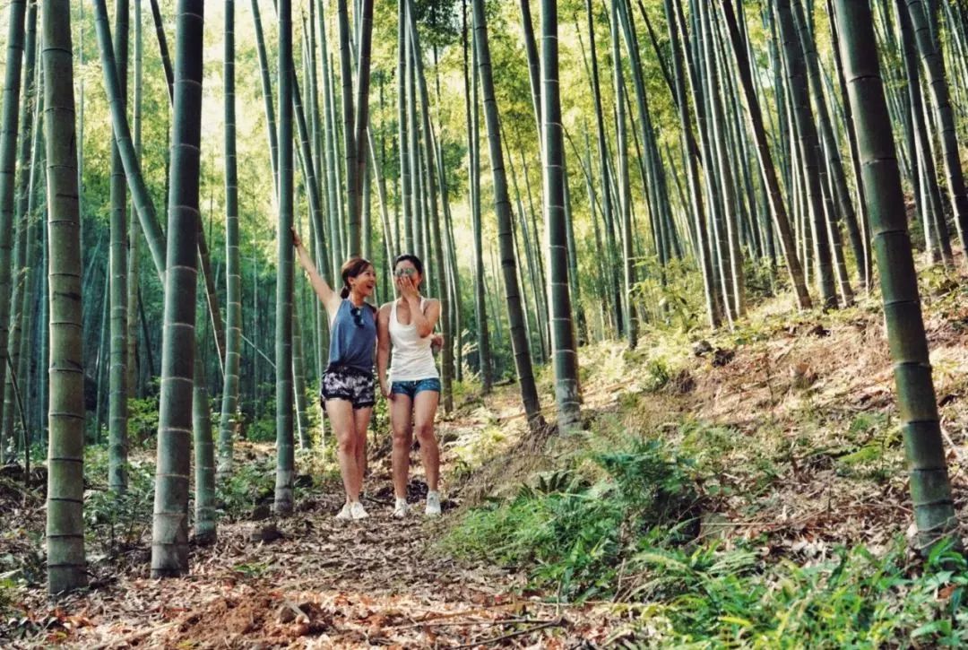 莫干山网红儿童旋转滑梯民宿,莫干山新晋森林亲子民宿无边泳池