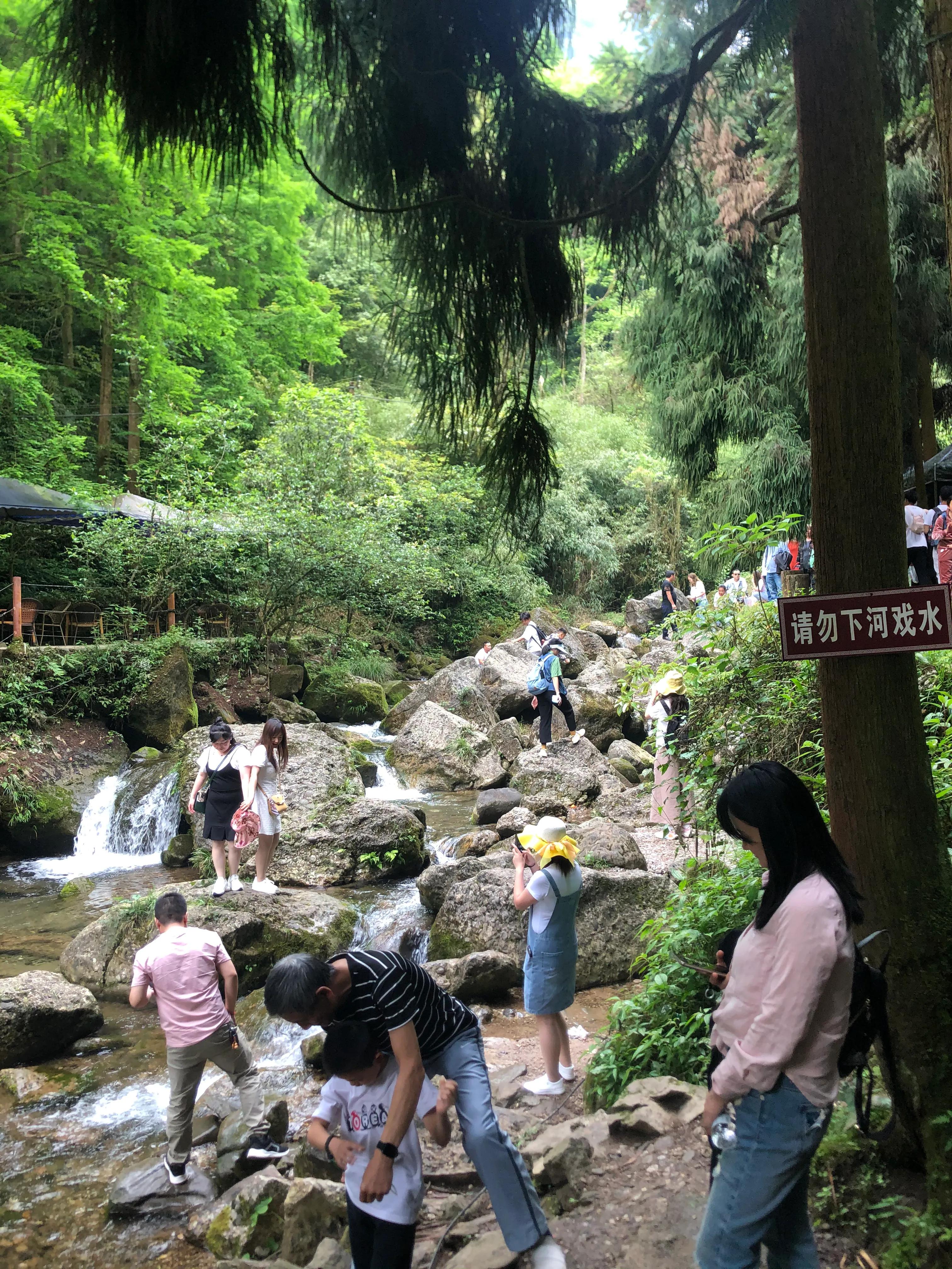 青城山后山一日游耍水攻略,青城山后山最值得去的地方