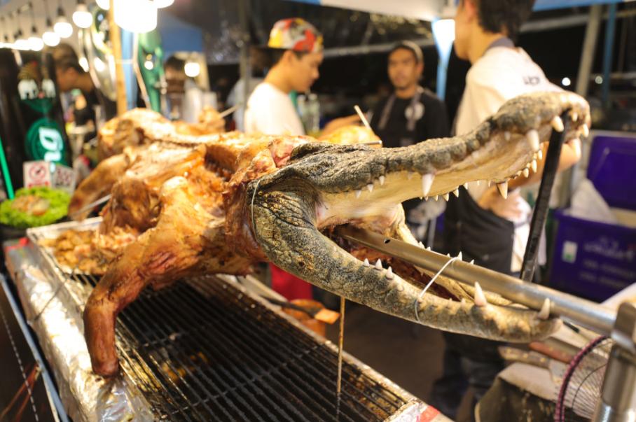 夜市上毫无尊严的鳄鱼，曾让上个世纪的纽约人心惶惶