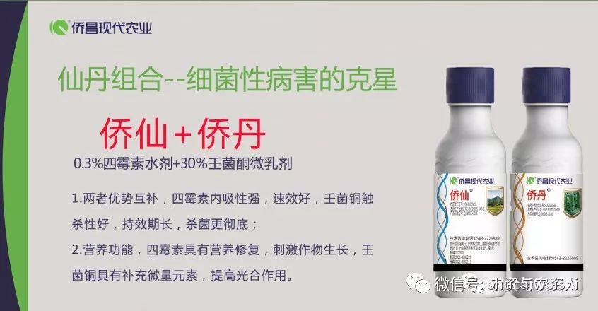 细菌感染不用吃药能好吗,细菌感冒不用吃药自愈