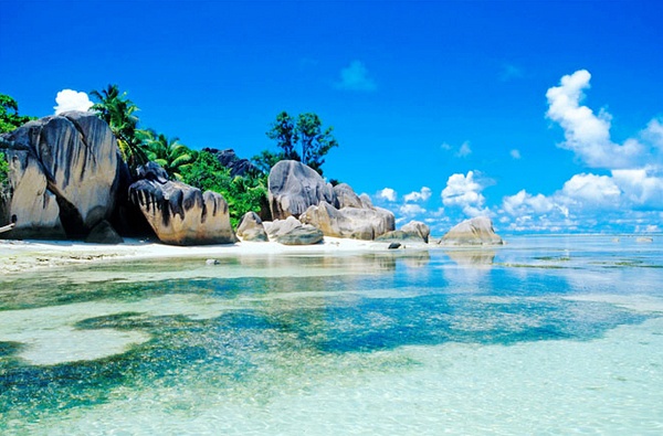 终其一生，你见过什么昂贵的东东？