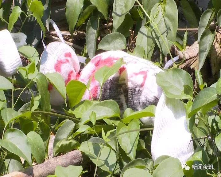 邻居挂恐怖“巫术娃”诅咒我，只能忍吗？我们问了12348律师