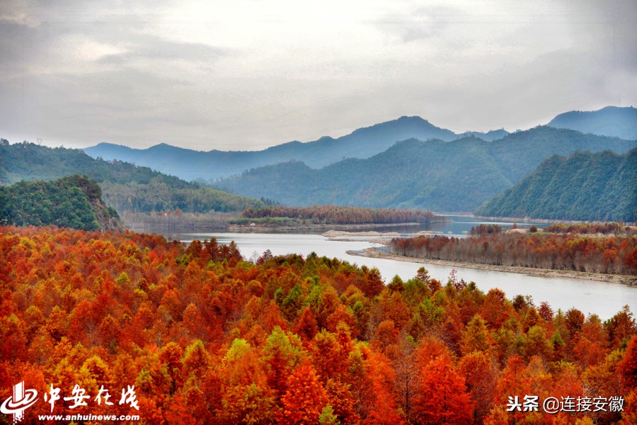 2018,安徽印象「徽镜映像工作室一年图片精选」