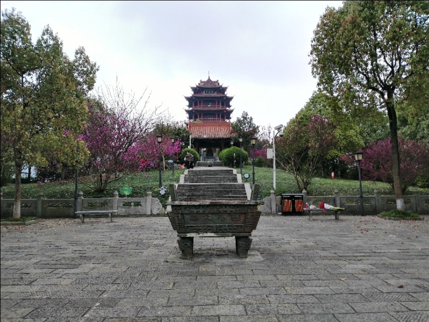 遵义三阁公园内有花吗,遵义三阁公园