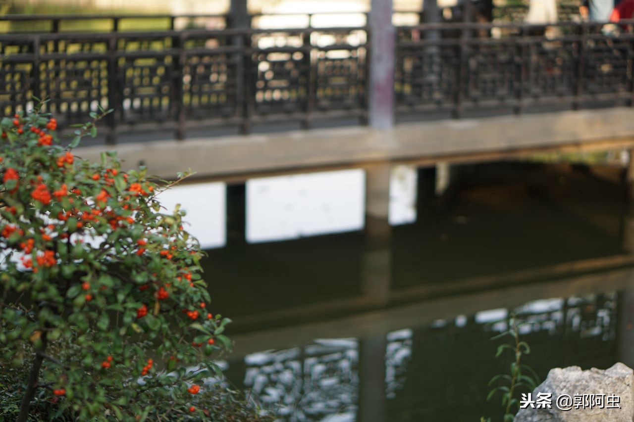 蠡园无锡,无锡蠡园视频