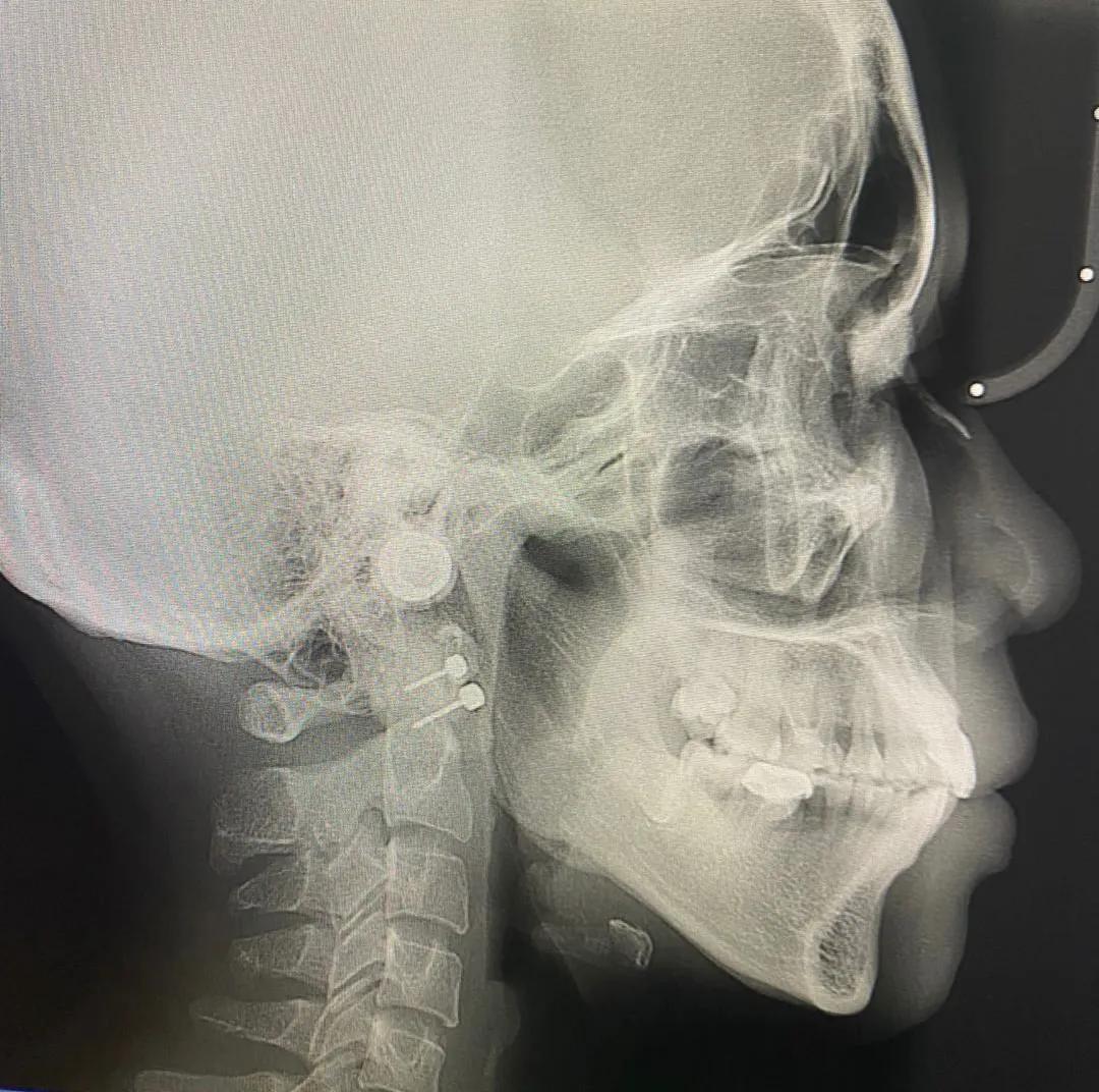 潘潘的记事簿 (潘潘的梦幻故事)