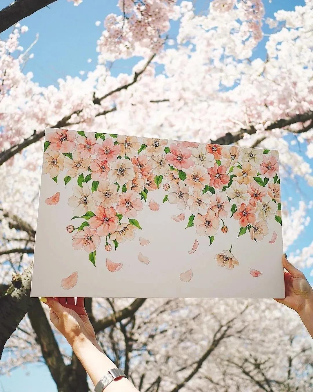 超美水彩画治愈,韩国女孩画画