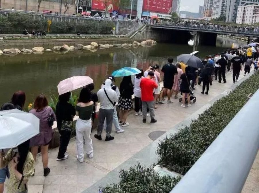 为什么有人代购茶颜悦色,茶颜悦色排队代购炒作