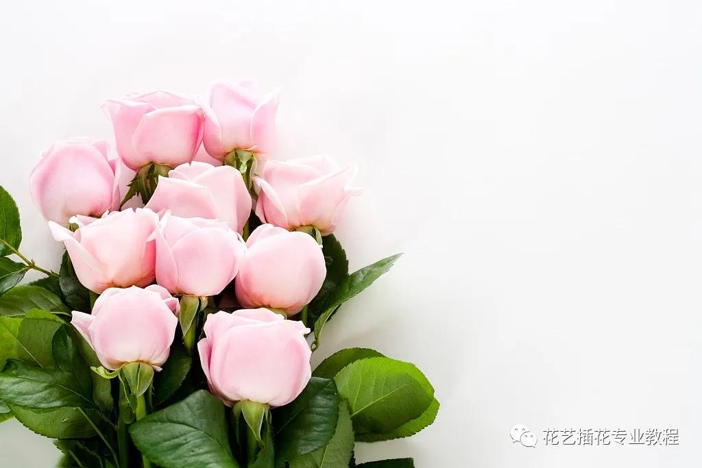 花艺培训班学习花艺设计课程入门,花艺培训师零基础课程入门