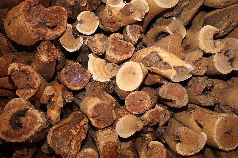 常见木材的种类简介及图片,常见木材的种类档次