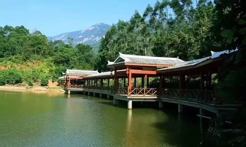 惠州罗浮山酥醪景区盆菜,罗浮山盆菜
