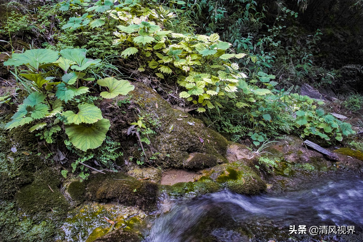 荆山香水河,湖北荆山香水河