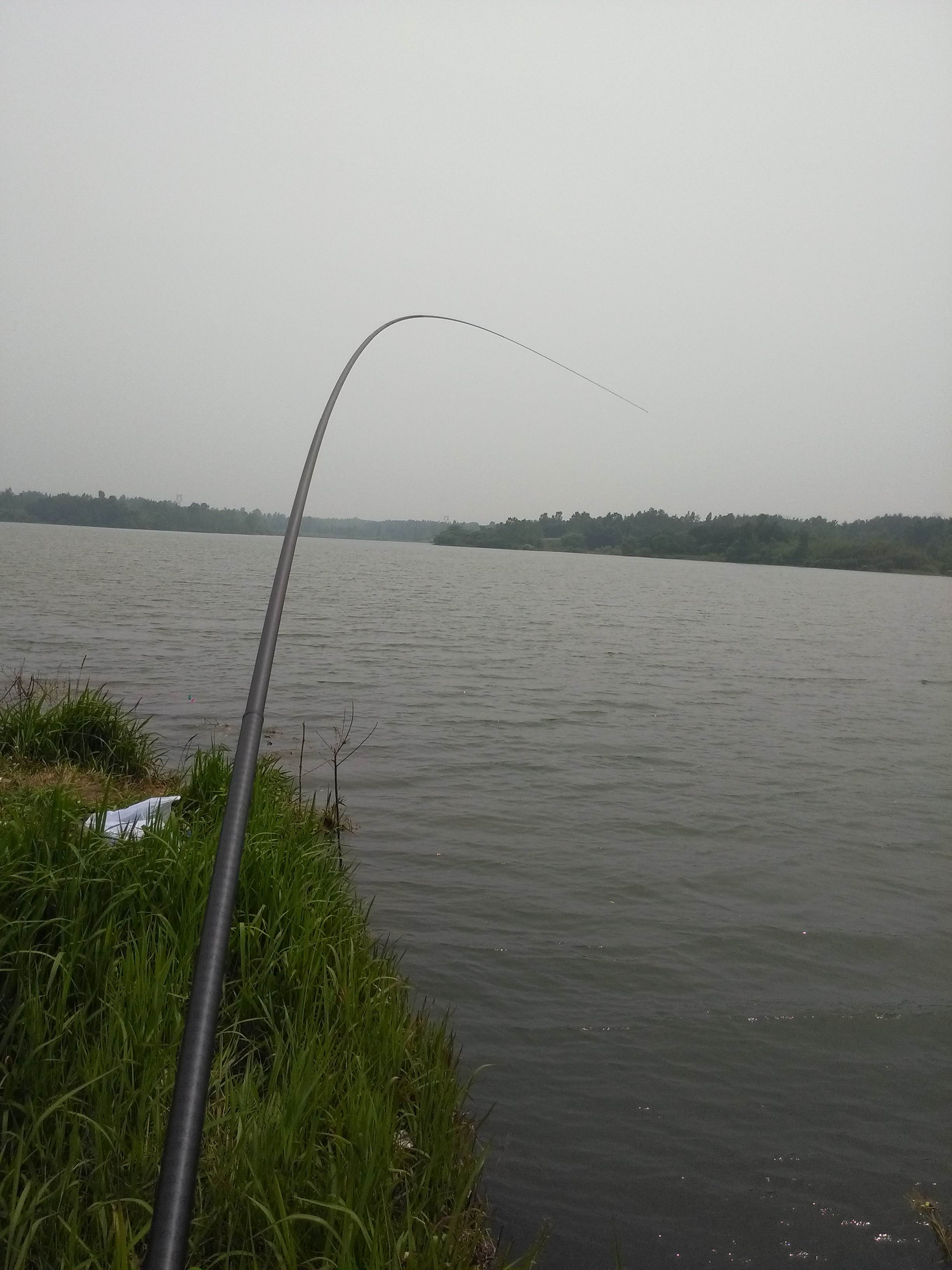 哪些鱼竿上全是饵料,钓鱼装备中高端鱼竿推荐