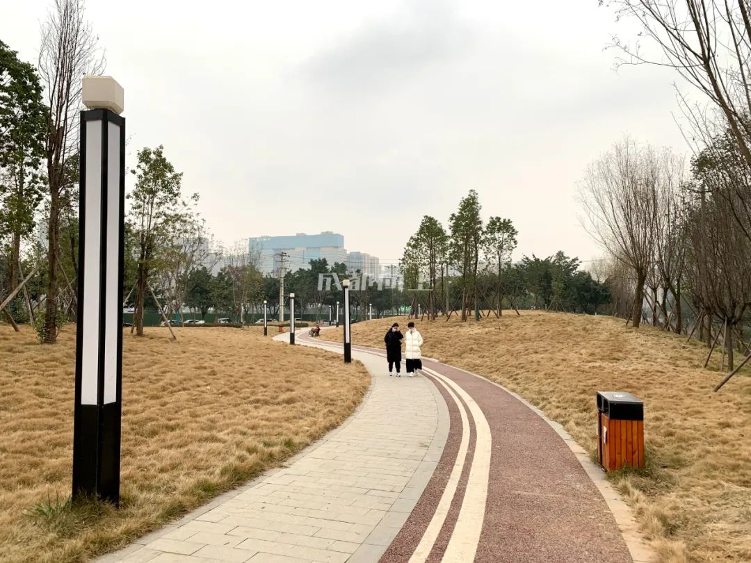 成都绿道风景美如画,成都周边哪条河边绿道最美