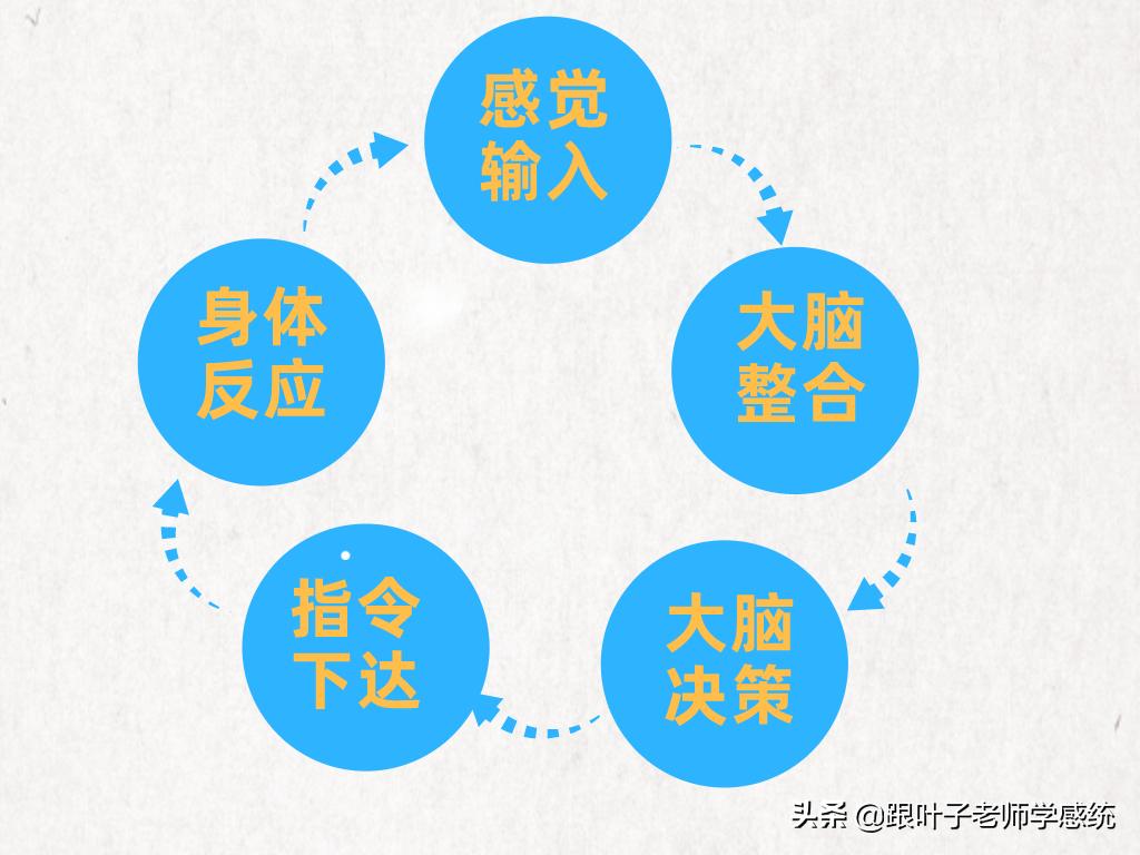 少儿英语干货资料,儿童语言问答好不好