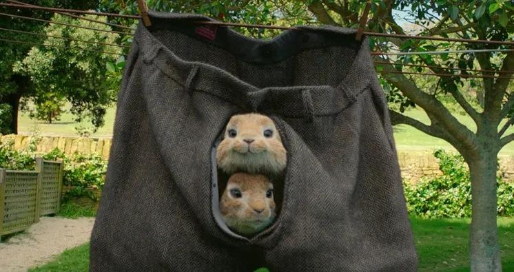 娌绘剤鎰熻秴钀岀殑鐢靛奖,鍙埍鍙堣悓鐨勭數褰辨湁鍝簺