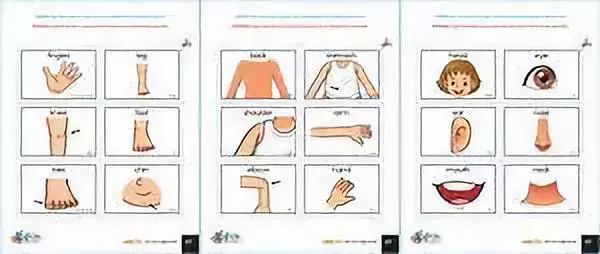 有关人体肢体部位的英语词汇,人体部位英文词汇学习