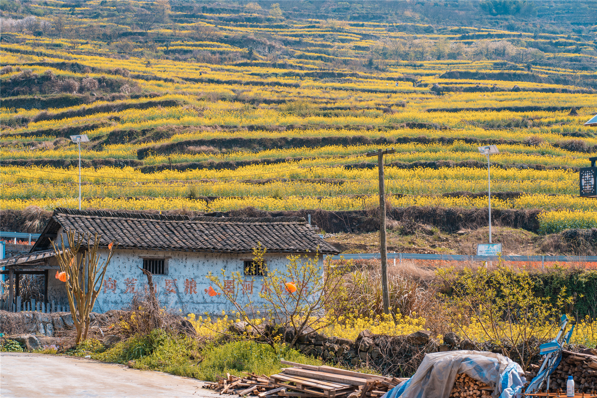 浙江深山隐藏村庄,浙江深山里的村庄