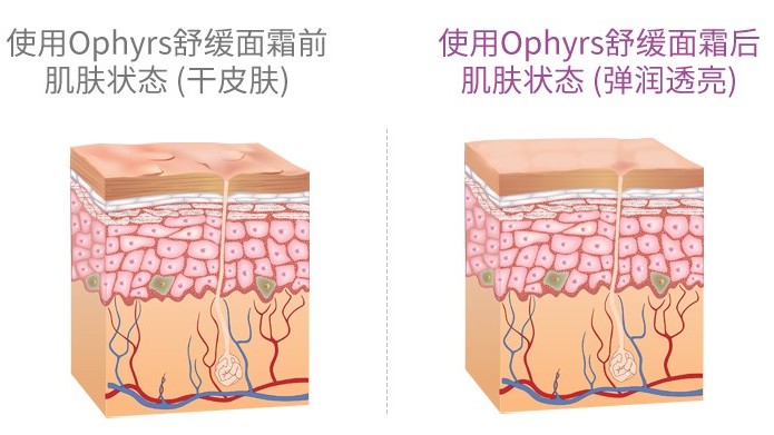 别再浪费钱买护肤品,别再浪费时间了好好赚钱