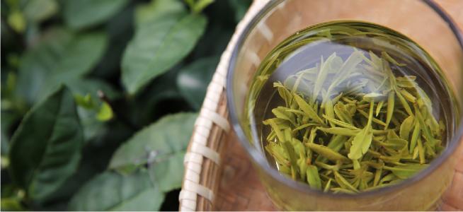 茶叶的种类有哪些具体如何分类,几种茶叶品种的区别在哪里