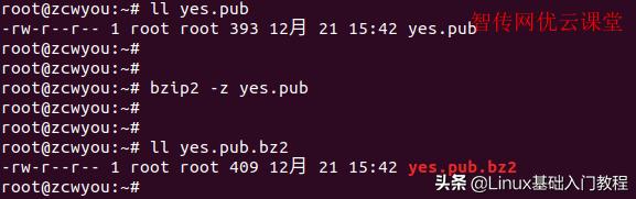 linux解压gz的命令,linux找不到bzip2命令