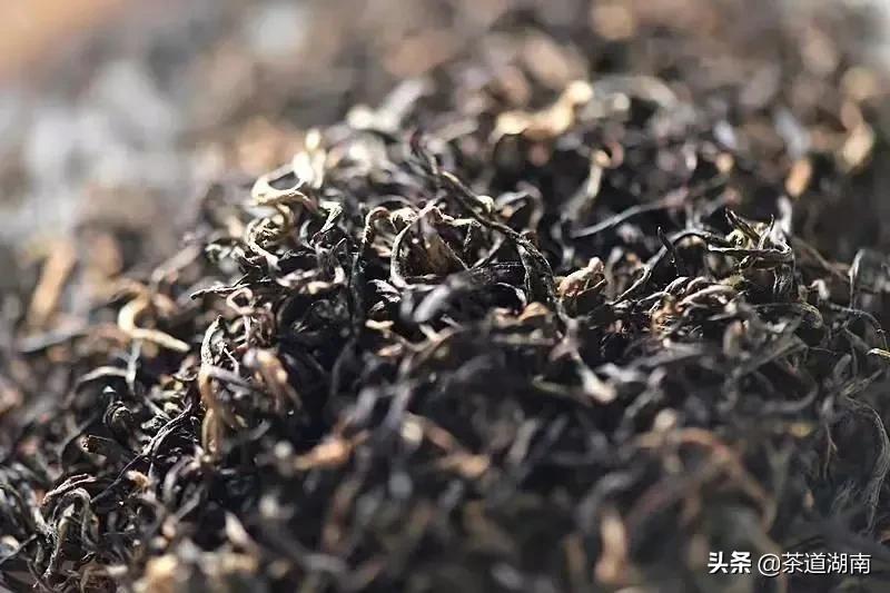 祁门红茶工夫红茶知识,祁门工夫红茶和祁红毛峰工序