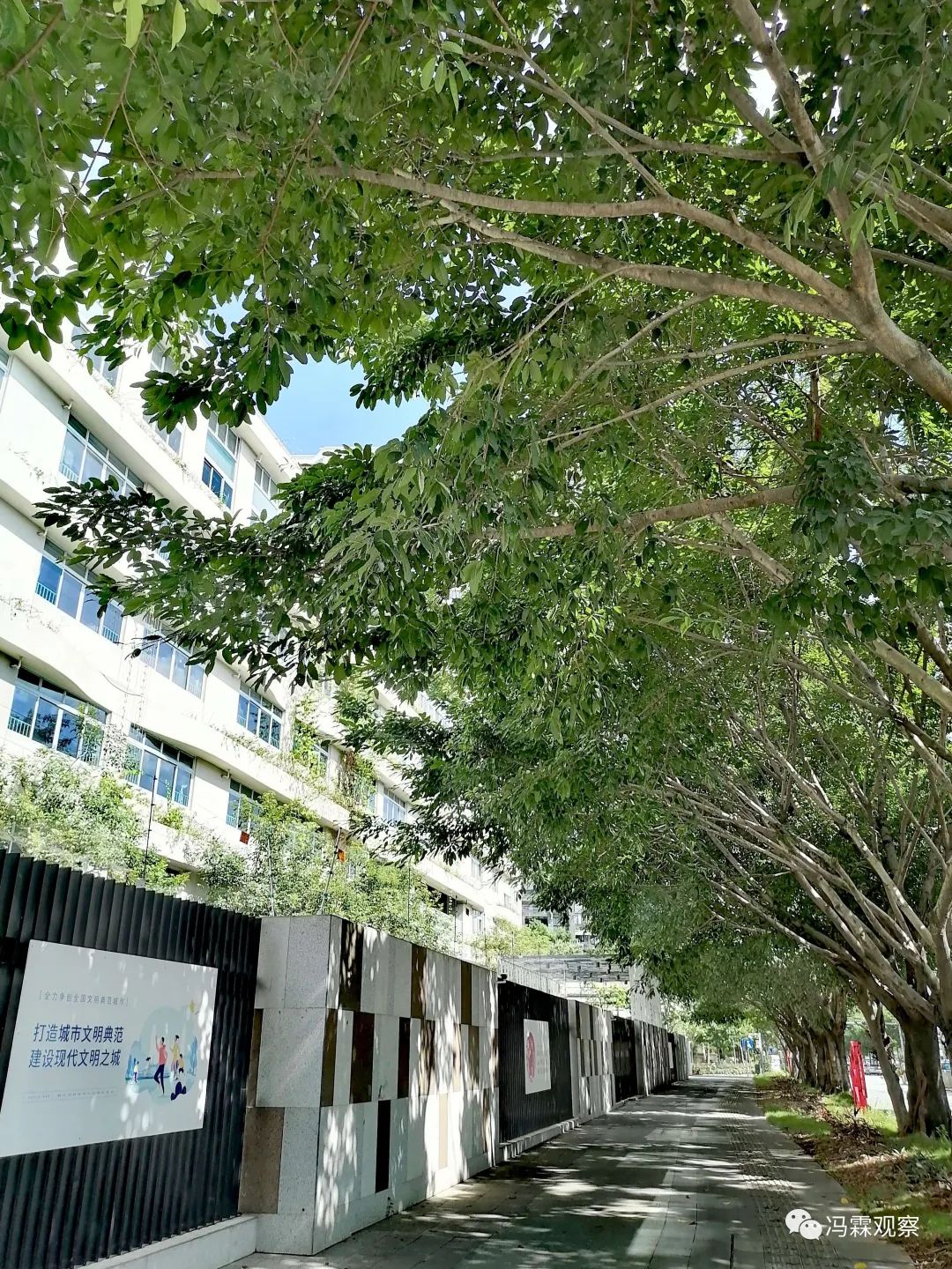 从清茶中飘出来的悠美短文！（文化观察之一O三）