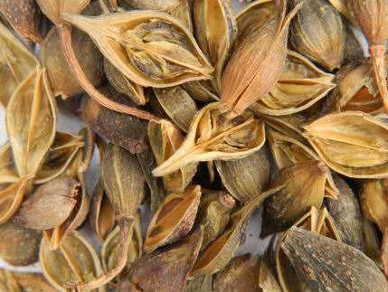 燥湿解表的中药有哪些,滋阴清热利湿中药