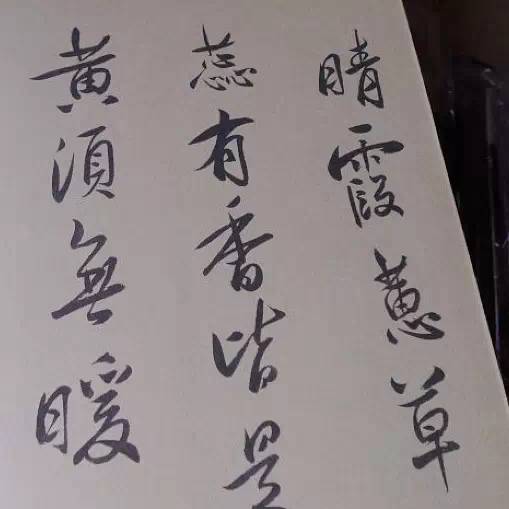 秦淮八艳，红颜自古如名将，不许人间见白头