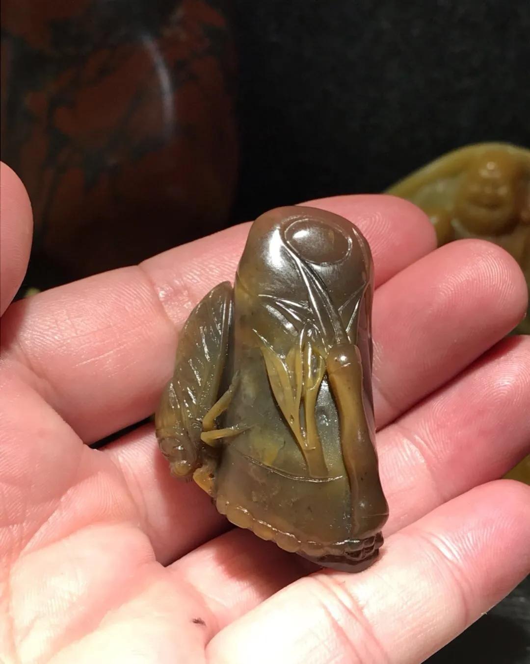 寿山田黄石图片,寿山黑田冻简介